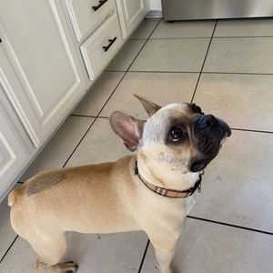 Meet your Posher, amara